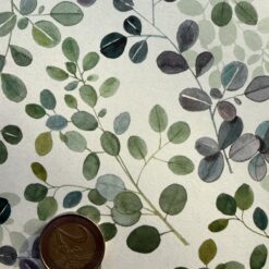 Alternative view of Eucalipto, Eukalyptus 50 x 70cm