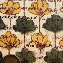Alternative view of Remondini fiore  Blüten gelb und grün mit Schrift 50 x 70cm